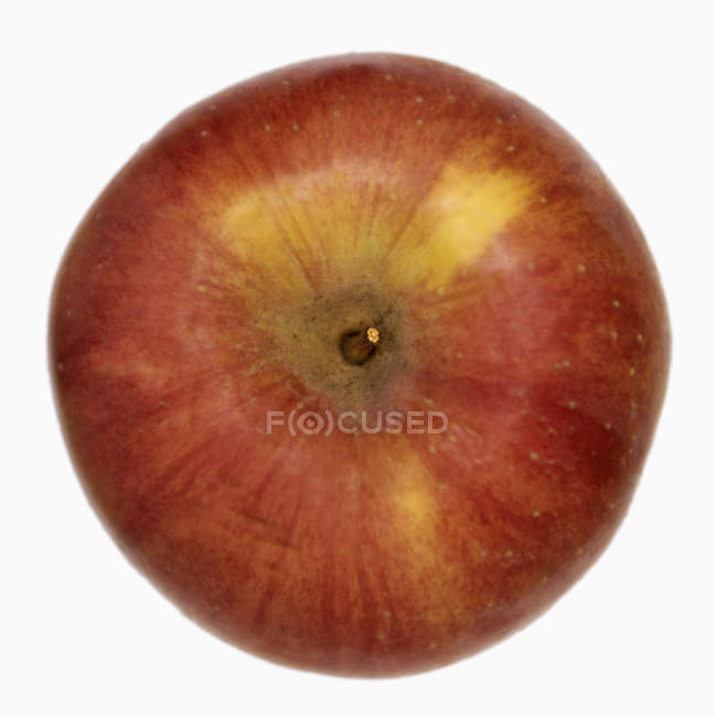 Lady Рожевий apple — стокове фото