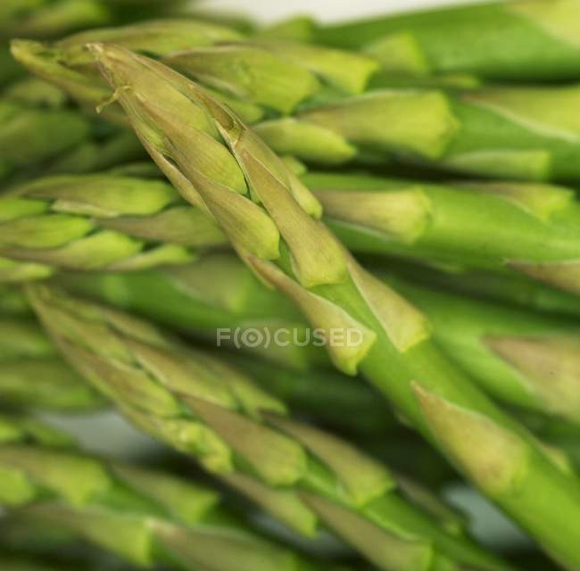 Bundle of green asparagus — Stock Photo