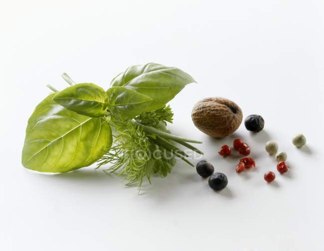 Closeup view of herb and spice still life — Stock Photo