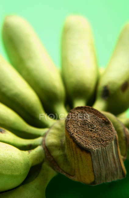 Mini bananas maduras — Fotografia de Stock
