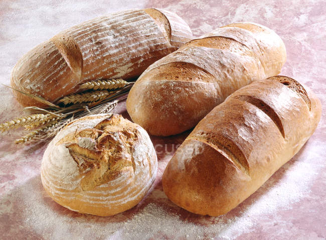 Varios panes de trigo - foto de stock