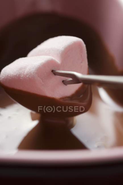 Chocolate fondue with marshmallow — Stock Photo
