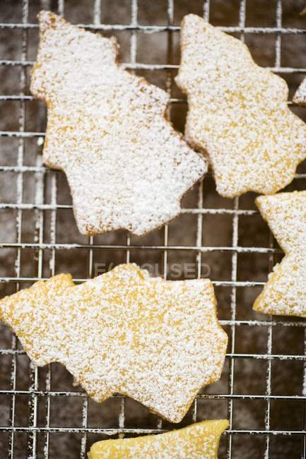 Fir tree shaped biscuits — Stock Photo