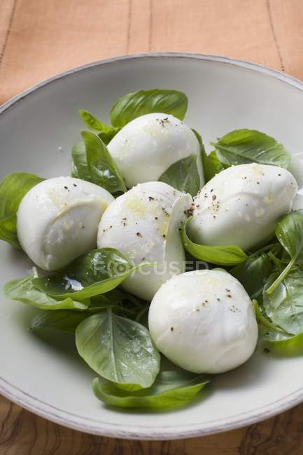Mozzarella con foglie di basilico fresche — Foto stock