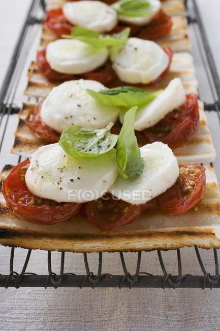 Tomatoes, mozzarella and basil on grilled bread over wire rack on textile surface — Stock Photo