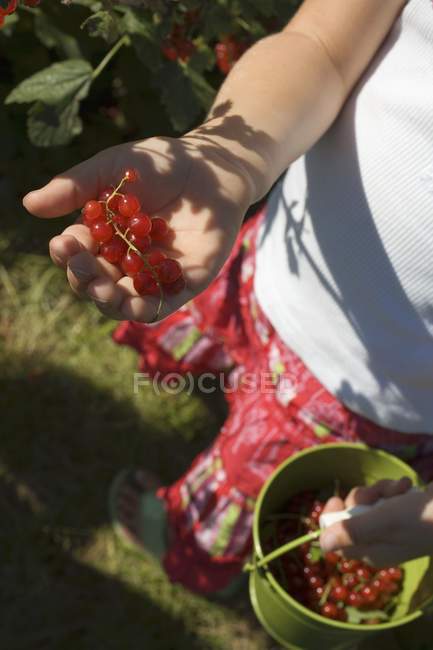 Girl holding redcurrants — Stock Photo