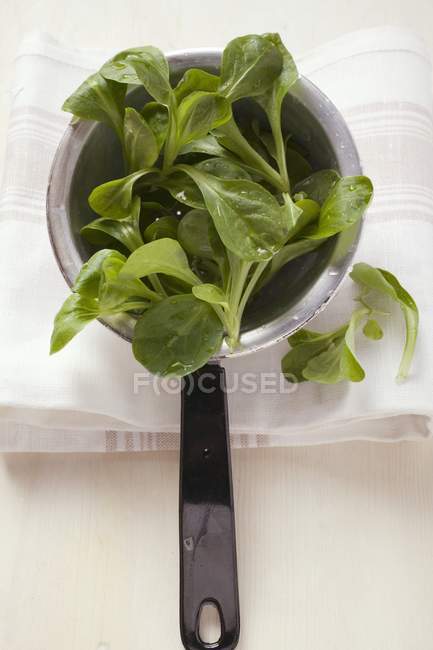 Свежий кукурузный салат в кастрюле — стоковое фото