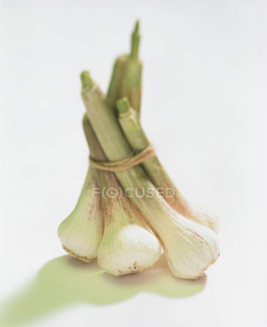 Mazzo di aglio fresco — Foto stock