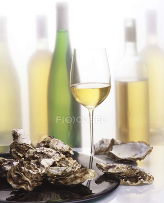 Bodegón con ostras y vino blanco - foto de stock