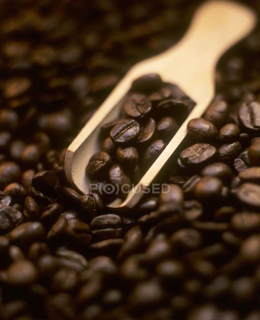 Grains de café avec cuillère en bois — Photo de stock