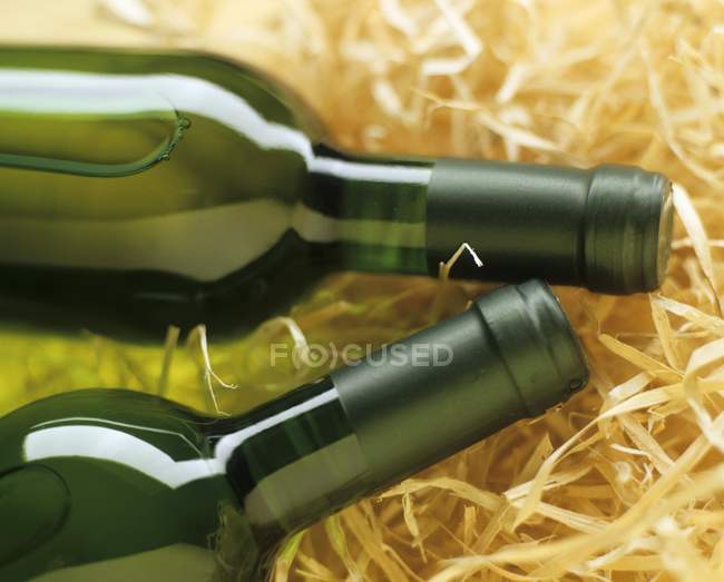Vista close-up de duas garrafas de vinho branco — Fotografia de Stock