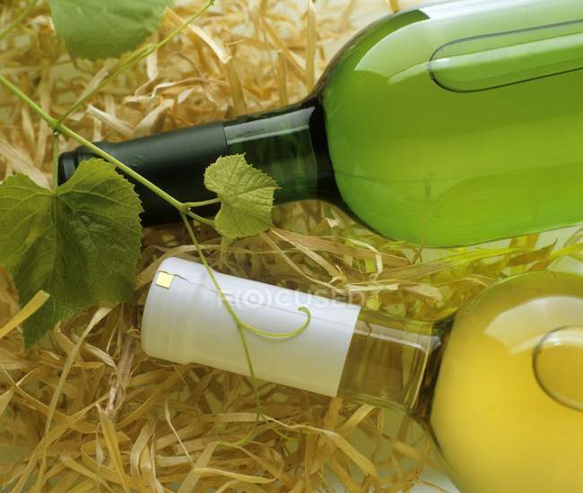 Primer plano vista superior de dos botellas de vino blanco sobre paja con vid - foto de stock