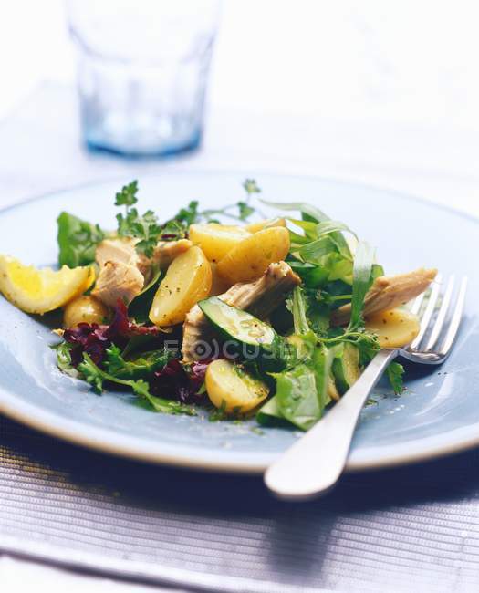 Geräucherter Makrelen-Salat mit Kartoffeln — Stockfoto