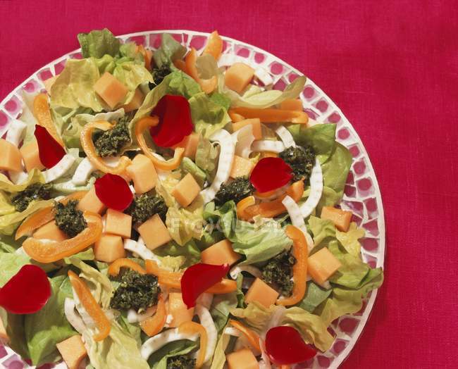 Nahaufnahme von Salat mit Paprika, Mango und Pesto auf Teller — Stockfoto