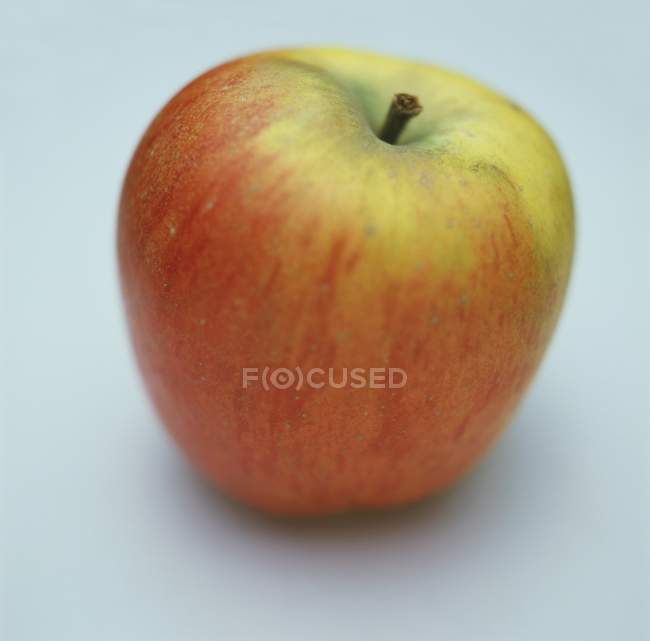 Fresh ripe Renette apple — Stock Photo
