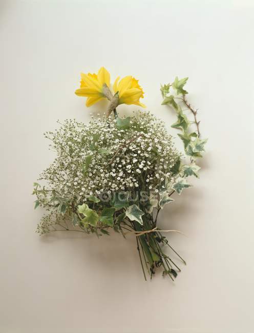 Vue rapprochée d'un bouquet de jonquilles, gypsophiles et lierre sur une surface blanche — Photo de stock