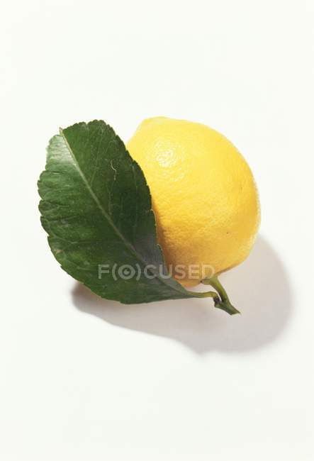 Frische Zitrone mit Blatt — Stockfoto