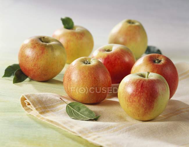 Sete maçãs Braeburn — Fotografia de Stock