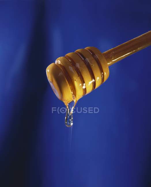 Mel de madeira dipper — Fotografia de Stock