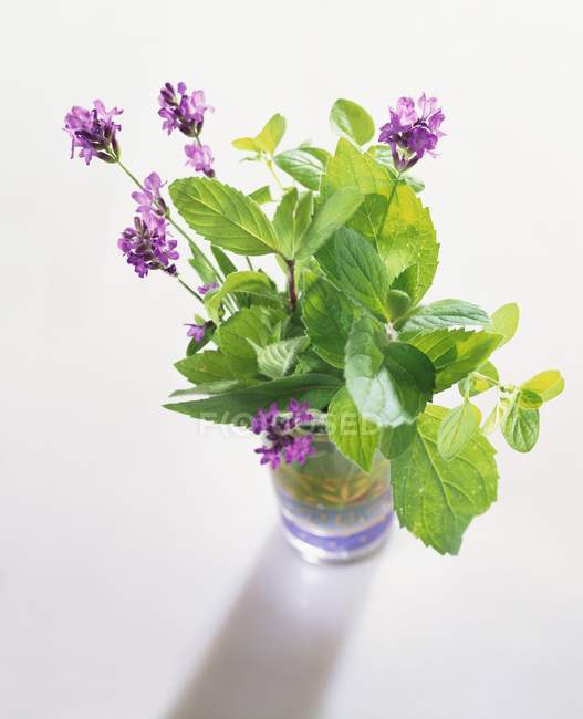 Kräuterbüschel und Lavendelblüten — Stockfoto
