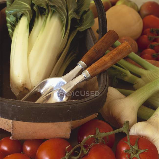 Legumes orgânicos frescos e ferramentas de jardim em trug — Fotografia de Stock