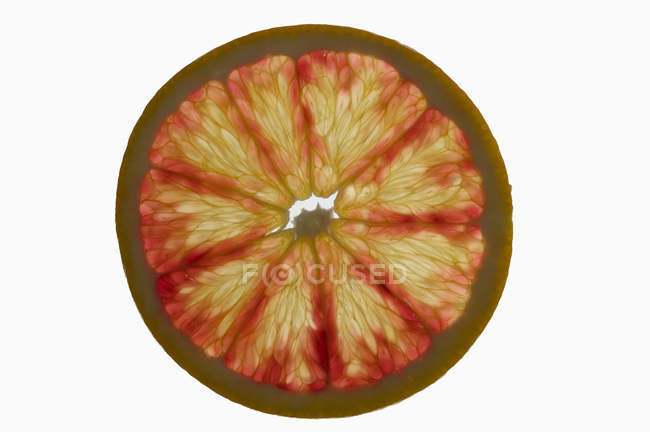 Slice of fresh grapefruit — Stock Photo