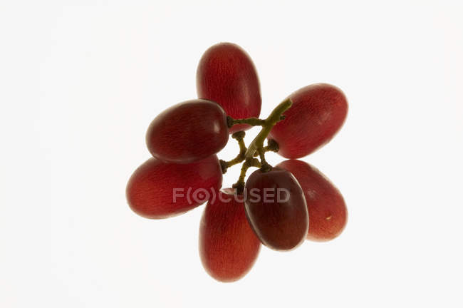 Petit bouquet de raisins rouges — Photo de stock