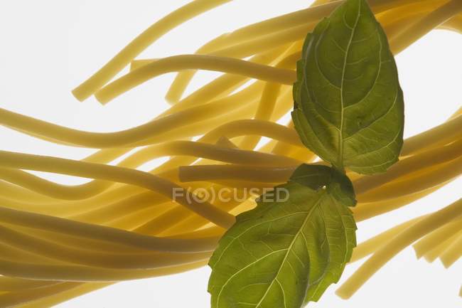 Spaghettis et basilic sur fond blanc — Photo de stock