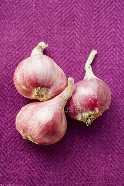 Tre cipolle rosse — Foto stock