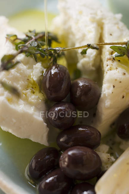 Сир Фета з оливками — стокове фото
