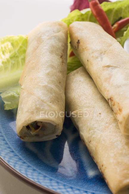 Spring rolls and salad — Stock Photo