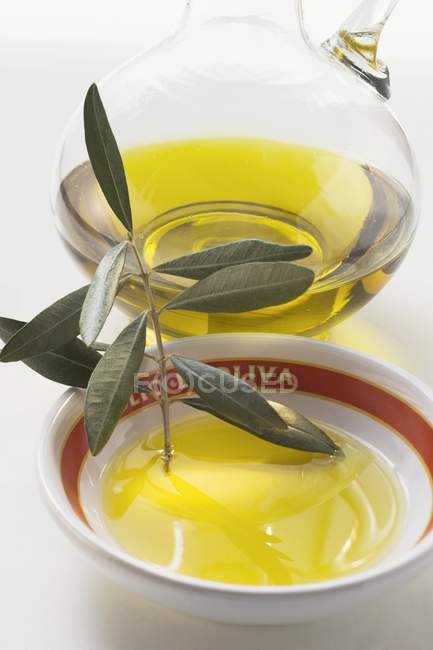 Olive oil with olive sprig — Stock Photo