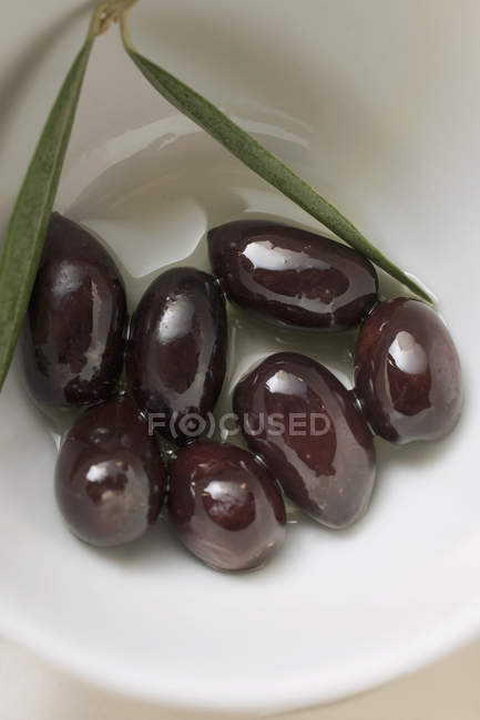 Olive nere con rametto in ciotola bianca — Foto stock