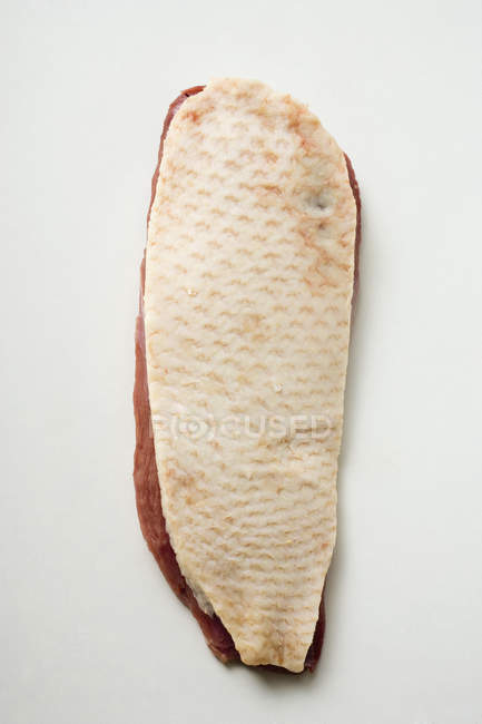 Duck breast with skin — Stock Photo