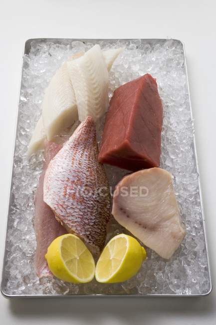 Sortimento de filetes de peixe — Fotografia de Stock