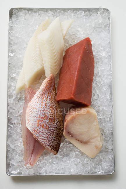 Auswahl an Fischfilets — Stockfoto