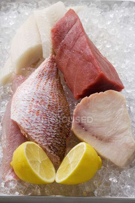 Assortment of fish fillets — Stock Photo