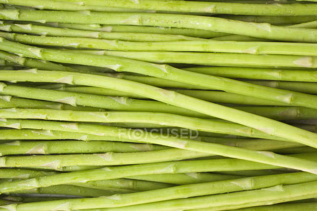 Texture d'asperges vertes — Photo de stock