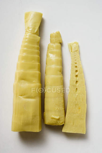 Brotes de bambú amarillo - foto de stock