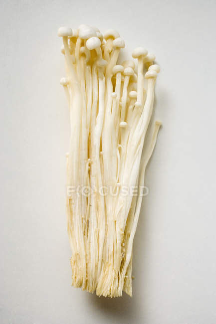 Cogumelos enoki frescos — Fotografia de Stock