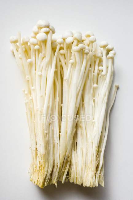 Cogumelos Enokitake, close-up — Fotografia de Stock