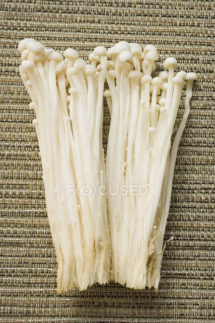 Fresh Enoki Mushrooms — Stock Photo