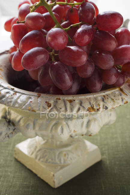 Uvas vermelhas frescas — Fotografia de Stock
