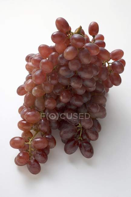 Cacho de uvas vermelhas Cardeal — Fotografia de Stock