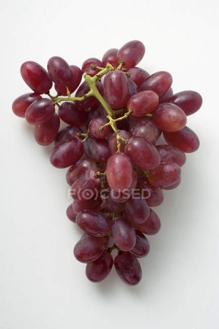 Uvas vermelhas cardeais — Fotografia de Stock