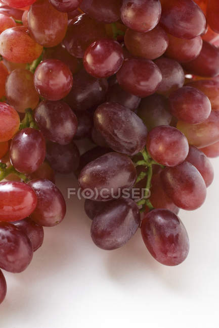 Ripe red grapes — Stock Photo