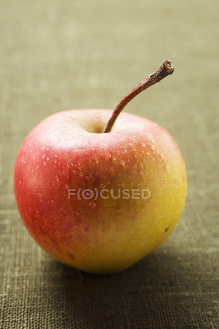 Pomme fraîche mûre — Photo de stock