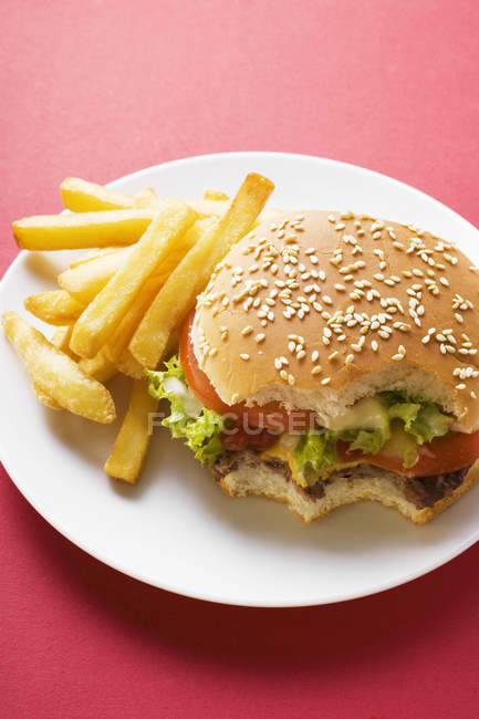 Gebissene Cheeseburger mit Pommes — Stockfoto