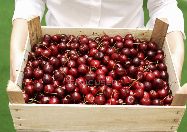 Woman holding crate with cherries — Stock Photo