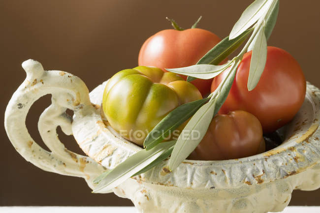 Свежие помидоры в миске — стоковое фото